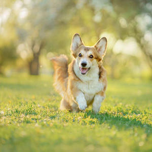 Zabbix监控系统：自动发现Oracle表空间并监控